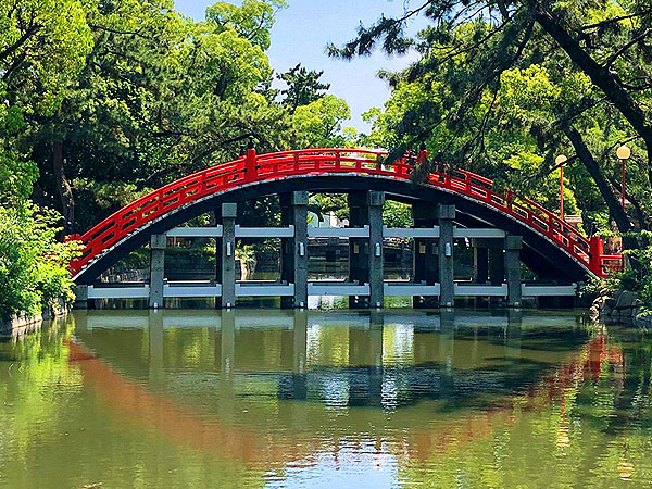 【住吉大社】海の神と巨大楠の森、森の案内人といく航海の聖域・住吉の浦～上町台地に築かれた古代湊、並び立つ国宝本殿、楠と人の壮大な物語～