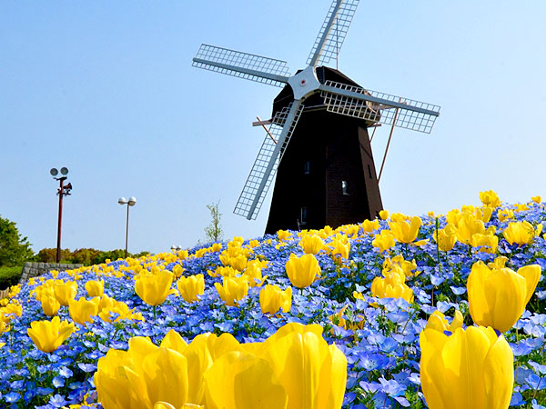 【鶴見緑地】花博が生んだ圧倒的植物の楽園☆森の案内人と、世界の庭園＆植物めぐり～日本最大の温室、53カ国の国際庭園、風車の丘、磯崎新の斬新建築まで～