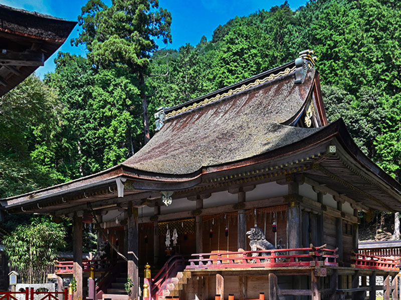 【坂本】考古学者といく石積の宗教都市、日吉大社・本殿床下の隠れ部屋を特別参拝～神と仏の習合の地、滋賀院門跡を拝見、50の里坊が連なるもう一つの延暦寺へ～