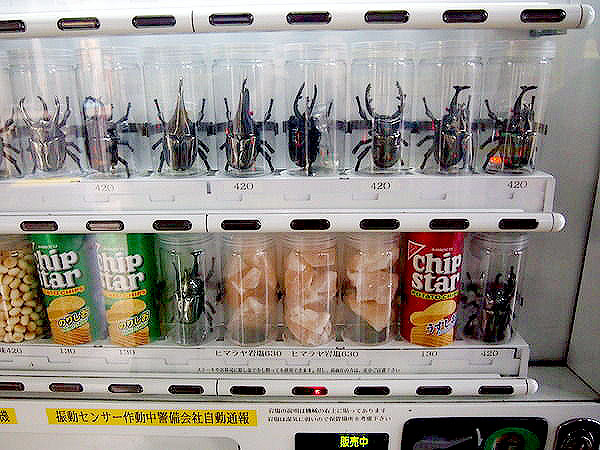 【秋葉原】東京別視点編集長といく！進化し続けるアキバ、珍スポット尽くし～狂気の自販機！？なぜか密集ケバブ屋の謎、攻めたコラボの神田明神まで～