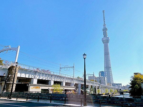 【向島】スリバチ学会、墨田区の“マナイタ”に現る！？微細な凹凸いちいち楽しむ～運河の街の路地めぐり、旧赤線「鳩の街」から最新水辺スポットまで～