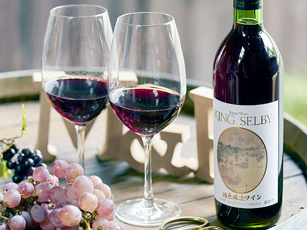 【大阪ワイン】造り手とワイナリー＆ブドウ畑探検！絶品ワインとランチ付き～日本一のブドウの町！？G20も絶賛「カタシモワイナリー」5種呑み比べ～