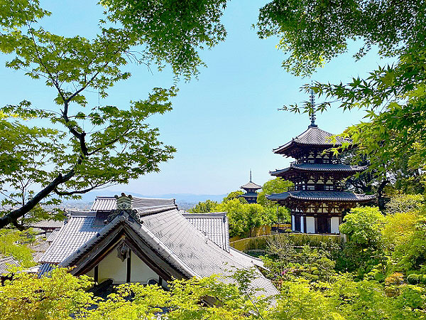 【當麻寺】ずらり国宝、天平の伽藍が残る奇跡！極楽浄土のメッカ・当麻の里をゆく～圧巻の白鳳仏群から日本最古の乾漆像まで、美と信仰が刻まれた仏教の宇宙観～