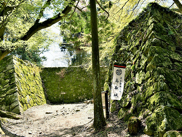 【高取城】藪内さんと“日本最強の城”攻略ツアー！日本一の山城とその城下町へ～奇跡の山上総石垣！海鼠壁続く家老屋敷、大和一望の櫓跡、名刹壷阪寺まで～