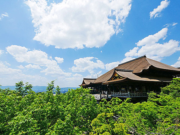 【清水寺】梅林崖長といく崖の上の観音霊場、清水寺凸凹ツアー！～“清水の舞台”はどうできた！？建築・仏像・地形まで味わい尽くす～