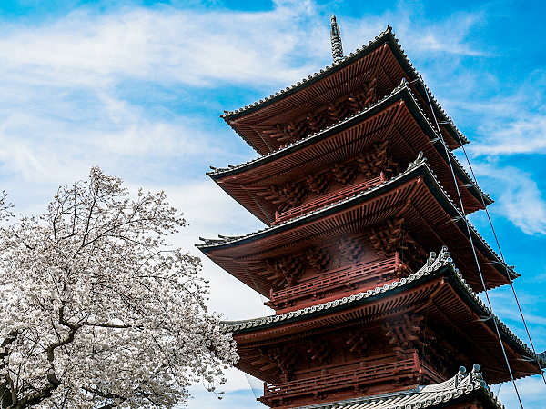 【池上本門寺】東京屈指の建築パワースポット！建築史家と、日蓮宗の一大聖地へ～400年の圧巻建築群に迫る！関東最古の五重塔から現代建築の傑作まで～