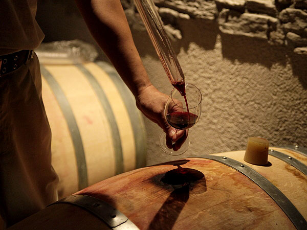 【河内ワイン】4代目当主とワイン造りの現場へ！厳選10種、絶品ワインマリアージュ～蔵でしか呑めないトップキュヴェ！？ブドウ畑から当主秘蔵の貯蔵庫まで～