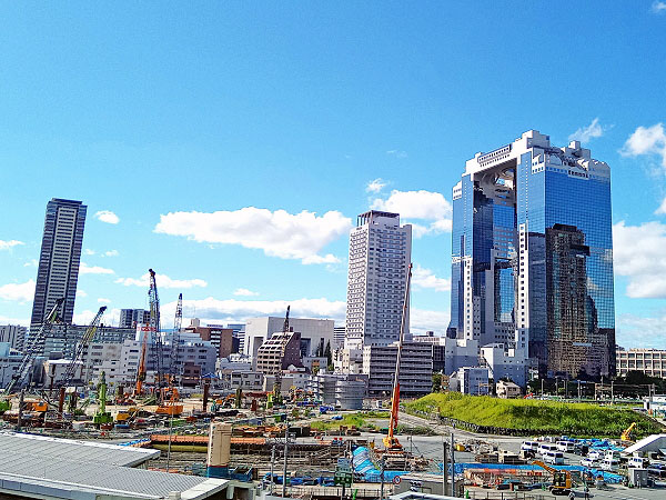 【梅田の森】庭師と大都会の森ウォッチング！植物目線で、梅田に甦る新しい森へ～うめきたから中自然の森、安藤忠雄・希望の壁、新・里山…大阪の原風景まで～