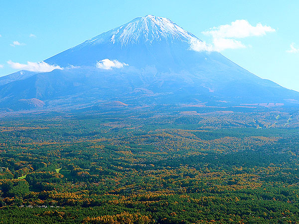 【富士の樹海】日本一の霊峰が生んだ神秘の原始林へ！森の案内人と貸切バスツアー～溶岩の森、氷の洞窟…超巨大噴火が生んだ大自然！世にも奇妙な秘境をいく～