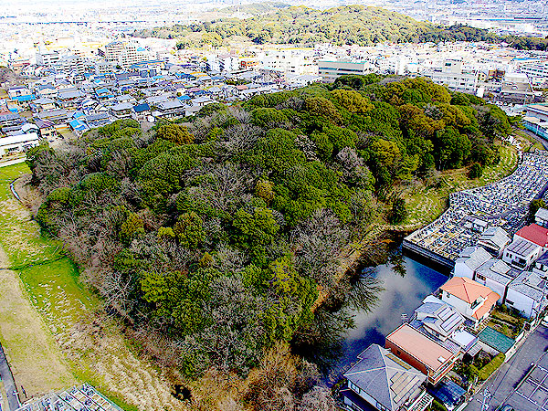【古市古墳群・南編】日本一の古墳のメッカ！世界遺産の立役者・考古学者と古墳にコーフン～超ド級の巨大古墳7連発！王のために埋葬された国宝副葬品を貸切拝見～