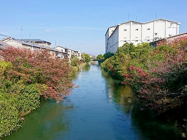 【伏見】研究者といく伏見ミッドタウン、水都の蔵めぐり！明治の醤油蔵を拝見～伏見のウォール街！？酒蔵モダン建築、伏見城の外濠水運まで～