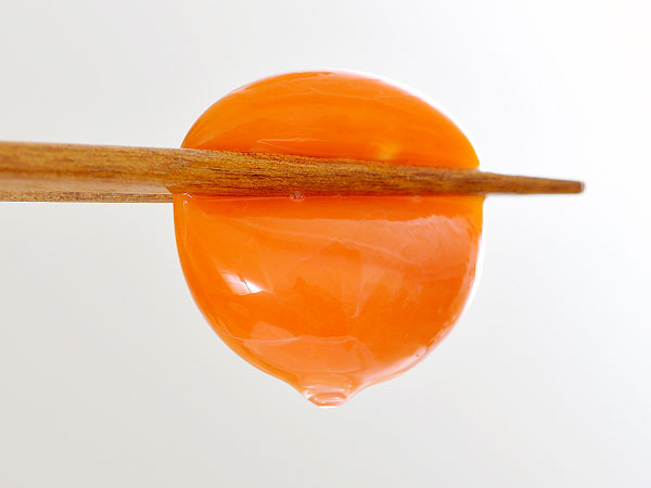 【伊藤養鶏場】養鶏界の革命児＆シェフが贈る美食会！集卵＆極上鳥料理を食べ比べ～エサの配合で卵が変わる！？プロ絶賛「東京うこっけい」コース料理を堪能せよ～