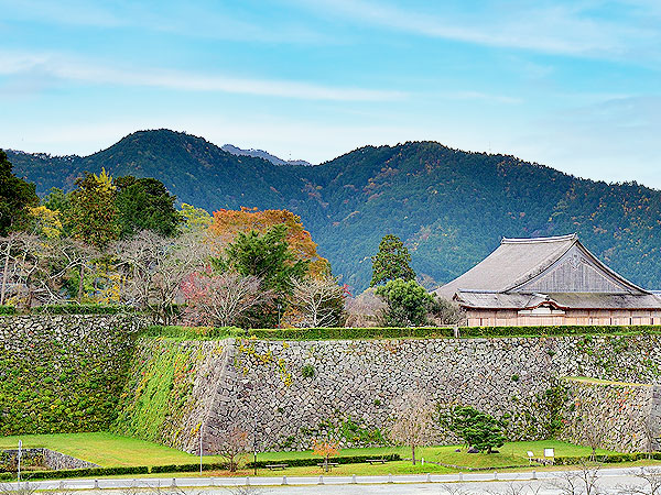 【丹波篠山】梅林崖長と篠山城凸凹ツアー！豊臣家攻略のための巨大城塞へ～直線基調の城郭構造、破格の大書院、妻入商家連なる城下町まで～