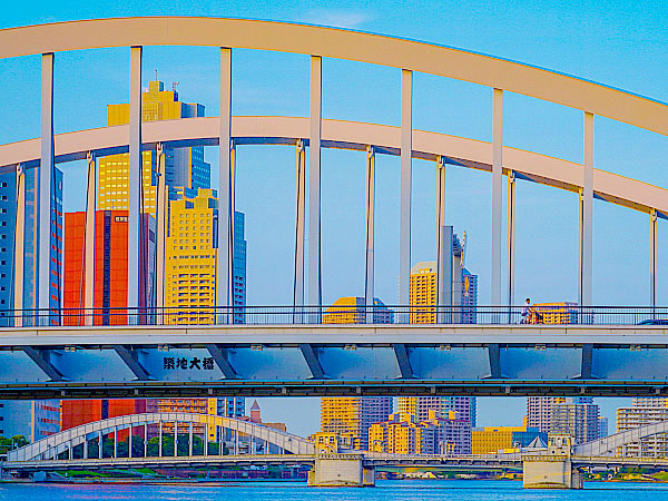 【ドボク】設計者といく築地大橋！東京の湾岸エリアを、ドボクから解き明かせ～東京で最も美しい新旧傑作の橋巡り、重要文化財から令和開通の最新橋まで～