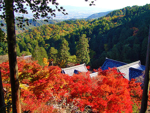 【ポンポン山】森の案内人とLet’sトレッキング！秋彩に染まる天空の山寺へ～深い森に鎮座する神峯山寺・本山寺・善峯寺、山頂でポンポンしよう～
