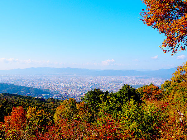 【鹿ヶ谷】錦秋に染まる楼門の滝へ！幻の山林寺院から渓谷の森をいく～Let’s里山ハイキング☆草花キノコに野鳥たち…秋色の大パノラマまで～