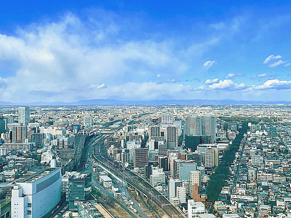 【大宮】“大いなる宮”を、地形と鉄道で解き明かせ！埼玉スリバチ学会凹凸ツアー～谷に挟まれた日本屈指の聖地へ！氷川総本社と大宮台地、製糸場跡まで～