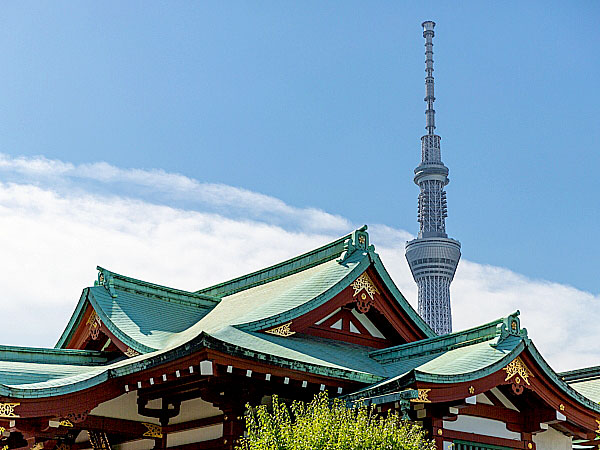 【亀戸三社巡り】境界協会と新春ご利益ツアー！亀・亀・亀の幸運三社めぐり～梅屋敷跡から旧花街へ！東京の下町を、境界と地形で解き明かせ～