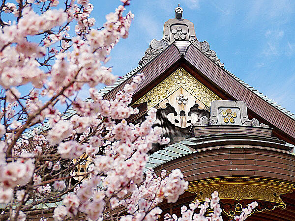 【湯島・上野】地形と古地図で読み解く5つの神社、江戸城の鬼門ラインをいく～梅薫る湯島天神、神田明神、穴稲荷…往古の聖地は台地のキワにあり～