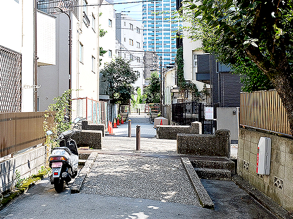 【西新宿】暗渠者・本田さんといく！幻の「神田川支流」を捜しだせ～東京屈指の橋跡パラダイス！川が消えても、地形は忘れていなかった～