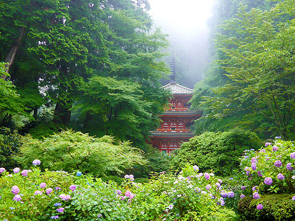 【南山城】南山城・春の古寺巡礼、岩船寺秘仏拝観から浄瑠璃寺まで～静かな山あいに咲いた極楽浄土の夢、石仏めぐりと九体阿弥陀如来～
