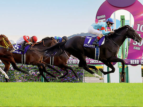 【東京競馬場】守永真彩と初めての東京競馬場ツアー！貸切ゲストルームで特別観戦～手に汗握るレースの駆け引き！熱戦の舞台が目の前に…バックヤード見学付き～