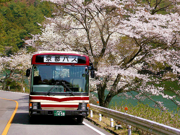 【京都バス】バスマニア研究者と「幻の路線」貸切バスツアー！桜咲く西山ドライブウエイ～年に一度の90号系統！戦前ドライブウェイ計画と遊覧都市、絶景の展望台まで～