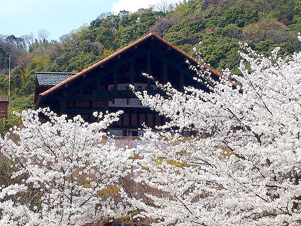 【大山崎】眼下に広がる桜パノラマ、天王山に佇む英国式洋館「大山崎山荘」へ～関大明神、離宮八幡宮、睡蓮の池…風光明媚に惹かれた山荘と桜めぐり～