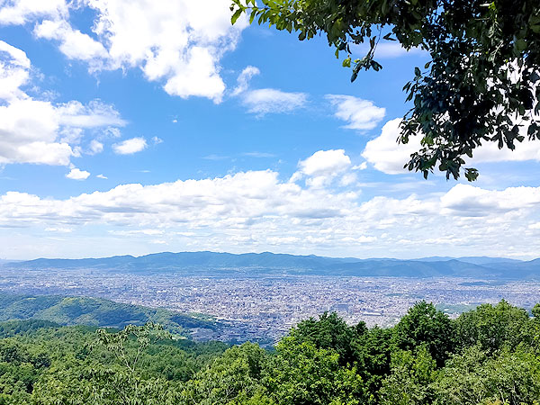 【鹿ヶ谷】新緑きらめく楼門の滝へ！幻の山林寺院から渓谷の森をいく～Let’s里山ハイキング☆草花キノコに野鳥たち…春色の大パノラマまで～