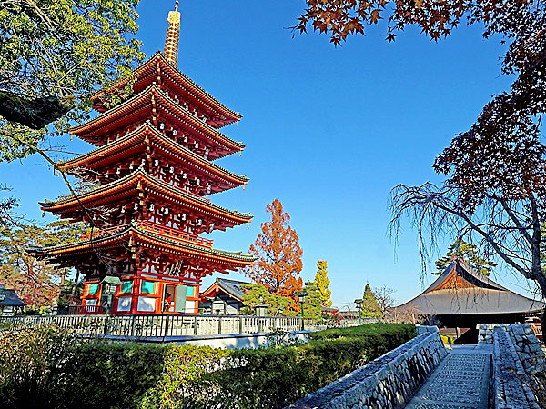 【高幡不動】建築史家と国宝まつり！年に一度の特別拝観、五重塔最上階へ～東京最古級の不動堂、圧巻の千体仏、700年の傑作建築群を堪能せよ～