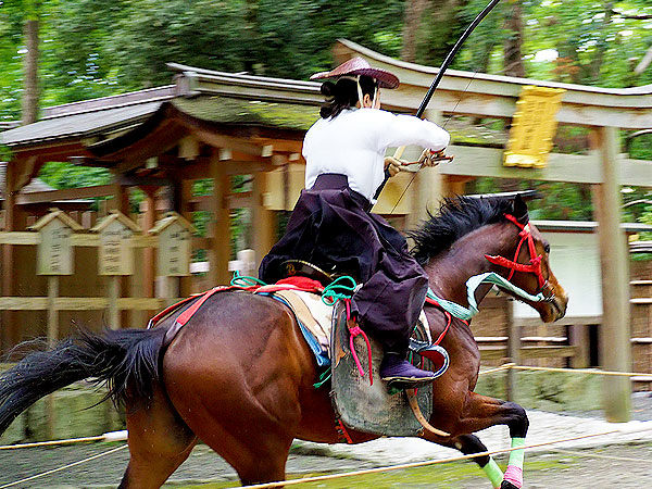 【葵祭】流鏑馬神事お稽古拝見、新緑きらめく下鴨神社めぐり～人馬一体、駆け抜ける馬上から矢を放つ！御手洗社から糺の森まで～
