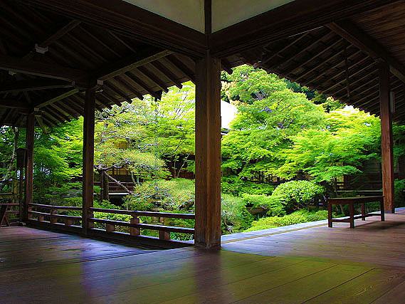 【永観堂】青もみじ輝く初夏の名刹、南禅寺天授庵から永観堂へ～美しき枯山水と池泉庭園、見返り阿弥陀様にそっと手を合わせて～