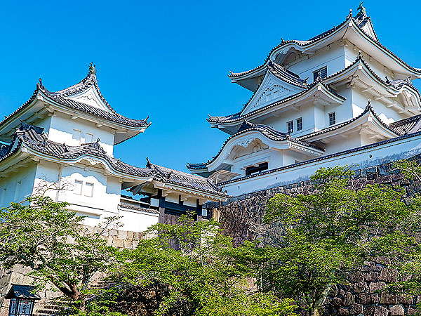 【伊賀上野城】伊賀衆忍びの里へ！藪内さんと“未完の大要塞”を攻略ツアー ～日本屈指の高石垣と幻の五層天守、藤堂高虎の築城術から城下町まで～