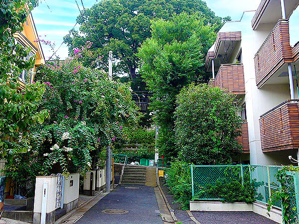 【西荻窪】都市研究者と、中央線屈指のおしゃれタウンへ！建築＆凸凹めぐり～坂の上のトトロの樹！？新緑きらめく武蔵野三大湧水池、同潤会住宅まで～