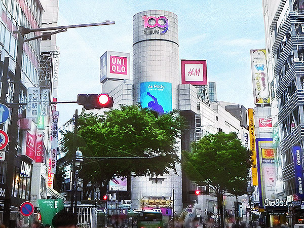 【渋谷】森の案内人と大都会の植物ウォッチング！渋谷に潜む大自然を捜せ～森復活を企む巨樹！？スクランブル交差点から江戸三名桜、渋谷鎮守の森まで～