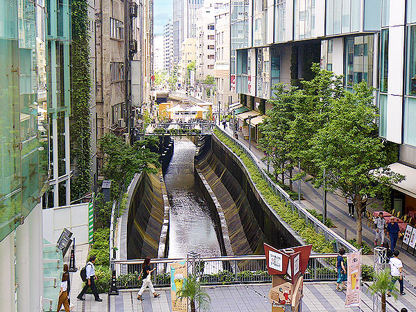 【渋谷城】シブヤど真ん中にあった城！タモリさんを案内した専門家と凸凹ツアー～大都会に城塞・軍道・濠の跡！？“谷底”の超立体都市を解き明かせ～