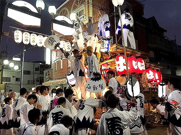【平野郷だんじり祭り】九つの地車が曳行する！祭りに沸く環濠集落・平野郷をいく～地車囃子が鳴り響く！杭全神社から総本山大念仏寺、大阪最大の地車祭り～