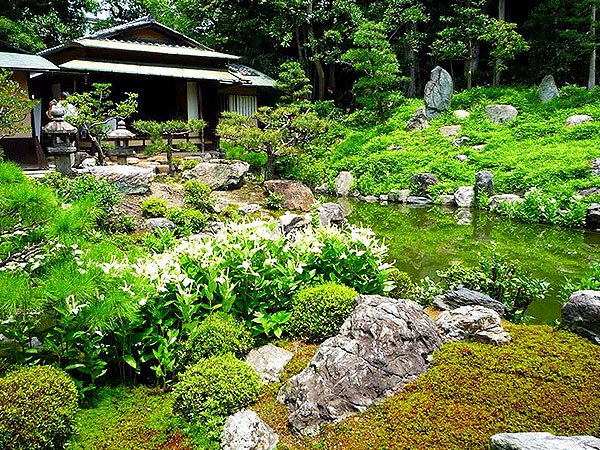 【サロン限定】鳥賀陽さんと“八坂の塔”隠れた名庭へ！中根金作の非公開庭園を拝見～法観寺の五重塔内部から、半夏生咲く建仁寺両足院まで～