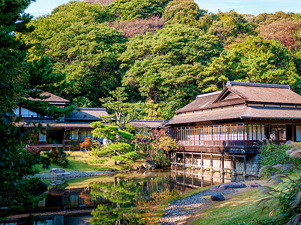 【三渓園】全国から古建築を移築した巨大庭園、庭師と巡る極上の庭園美～紀州徳川家の別荘、二条城の数寄屋…横浜一の大富豪が描き出した夢の世界～