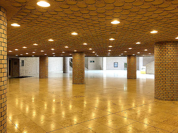 【新宿地下街】都市史研究者と“新宿ダンジョン”へ！世界一のマンモス駅はどうできた～地下街に謎の高低差！？60’s傑作広場から最新地下街まで、巨大迷宮を解き明かせ～