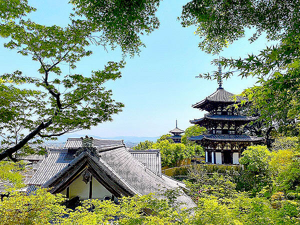 【當麻寺】梅林崖長と、當麻寺凸凹ツアー！国宝だらけの天平伽藍を大特集～圧巻の白鳳仏群から當麻曼荼羅まで、「金堂」は「本堂」に変化した～