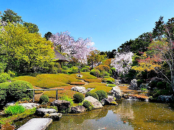 【サロン限定】鳥賀陽さんと通常非公開・妙心寺大雄院＆退蔵院を特別拝観～明治宮殿「花の丸」復活へ！狩野元信の庭、中根金作の余香苑まで～
