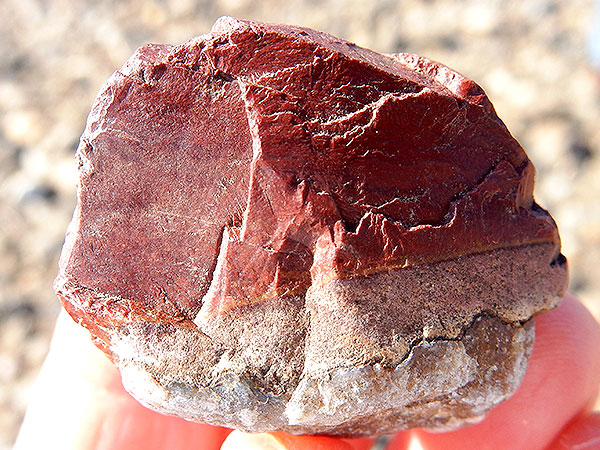 【大和川】煌めく古代石サヌカイト！地学専門家と鉱物探し、大阪1億年の旅～水晶、碧玉、ガーネット…石がわかれば地球がわかる～