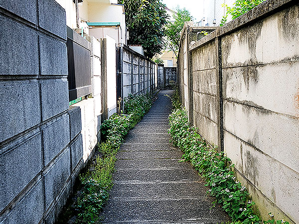 【阿佐ヶ谷】暗渠者・本田創さんと幻の「桃園川」を捜せ！阿佐ヶ谷暗渠ラビリンス～街が変わると暗渠も違う！？荻窪から高円寺まで“中央線カルチャー”ど真ん中へ～