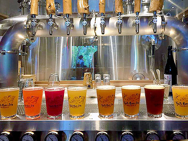 【Kyoto Beer Lab】クラフトビール最前線☆醸造所＆出来たてビール5種呑み比べ～ビール職人×茶職人＝茶ビール！ビールとのペアリングおつまみ付き～