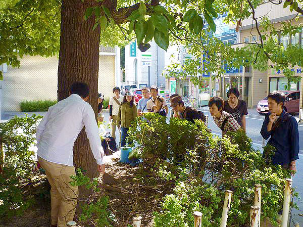 【四条の森】庭師とまちなか植物ウォッチング！森目線で、京都一の繁華街へ～森復活を企む巨樹たち！町家・古刹・商店街…鉢植えから路地裏ガーデンまで～
