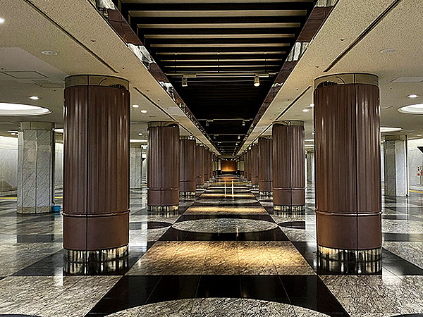 【TV放送記念・梅田編】タモリさんを案内した研究者と、梅田ダンジョン凸凹ツアー～大阪駅は凸凹カオス！？川跡、地下街、乙女坂…地盤沈下の痕跡まで～