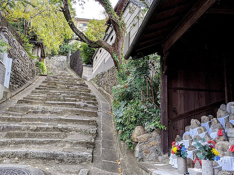 【花折断層】巨大地震が生んだ断崖絶壁！京都に潜む「花折断層」凸凹ツアー～住宅地に謎の高低差！？断層が造る聖地、気象予報士と地震の痕跡を訪ねて～