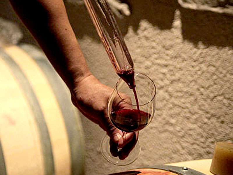 【河内ワイン】4代目当主とワイン造りの現場へ！厳選10種、絶品ワインマリアージュ～蔵でしか呑めないトップキュヴェ！？ブドウ畑から当主秘蔵の貯蔵庫まで～