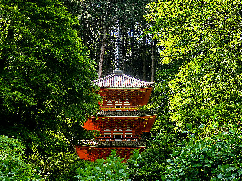 【南山城】南山城・秋の古寺巡礼、岩船寺秘仏拝観から浄瑠璃寺まで～静かな山あいに咲いた極楽浄土の夢、石仏めぐりと九体阿弥陀如来～